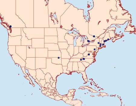 Distribution Data for Bucculatrix ainsliella