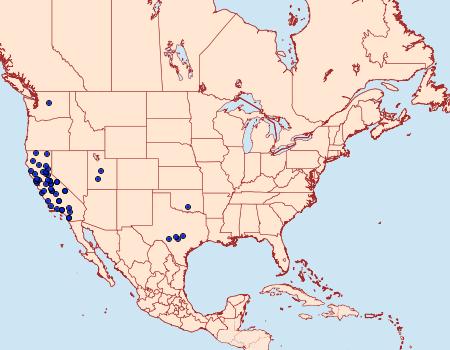 Distribution Data for Myelopsis alatella