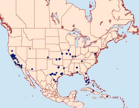 Distribution Data for Amyelois transitella