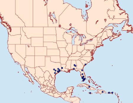 Distribution Data for Ancylostomia stercorea