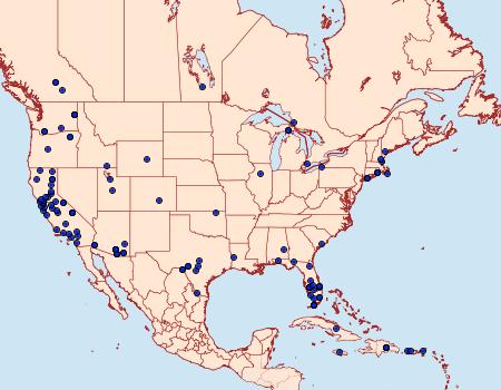 Distribution Data for Etiella zinckenella