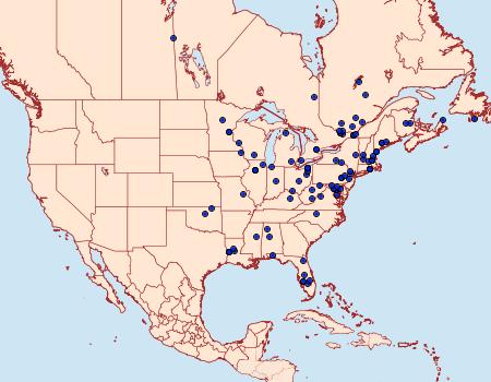 Distribution Data for Glyptocera consobrinella