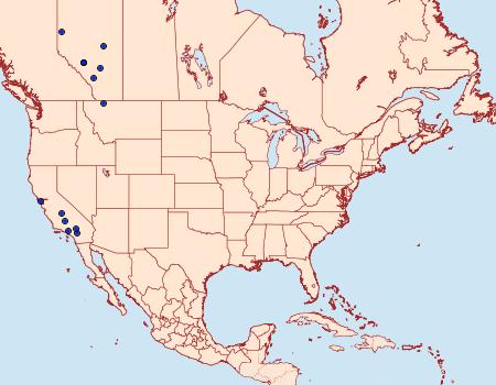 Distribution Data for Pima fulvirugella