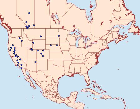 Distribution Data for Ambesa laetella