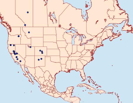 Distribution Data for Catastia actualis