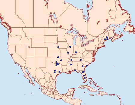 Distribution Data for Salebriaria annulosella