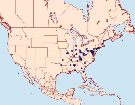 Distribution Data for Salebriaria rufimaculatella