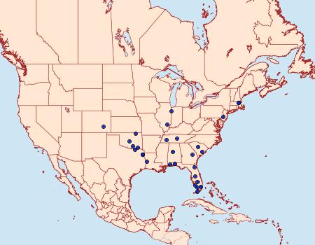 Distribution Data for Quasisalebria atratella