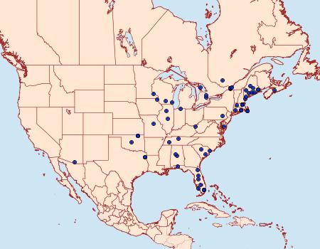 Distribution Data for Sciota subfuscella