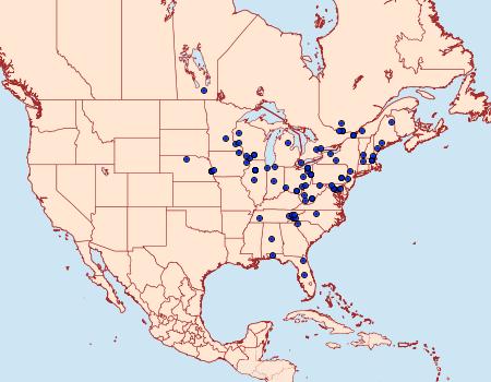 Distribution Data for Sciota vetustella