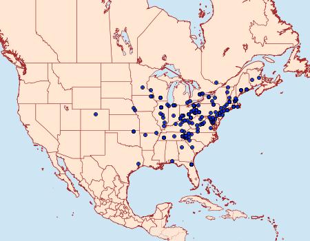 Distribution Data for Sciota virgatella