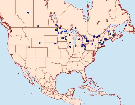 Distribution Data for Sciota basilaris