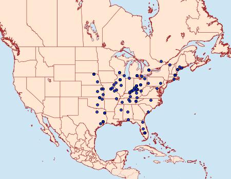 Distribution Data for Tlascala reductella