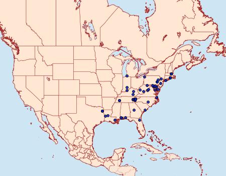 Distribution Data for Actrix nyssaecolella