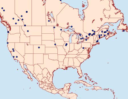 Distribution Data for Pyla fusca