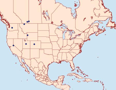 Distribution Data for Pyla aeneoviridella