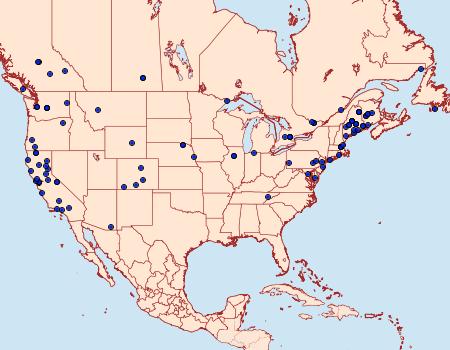 Distribution Data for Dioryctria abietivorella