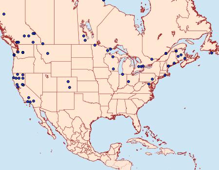 Distribution Data for Dioryctria reniculelloides