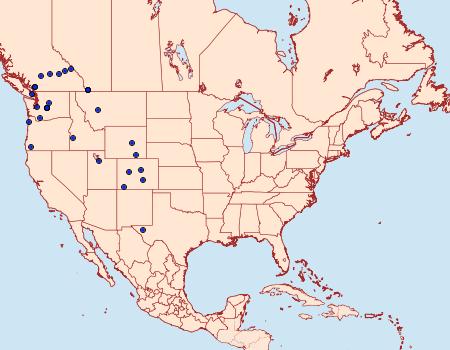 Distribution Data for Dioryctria pseudotsugella