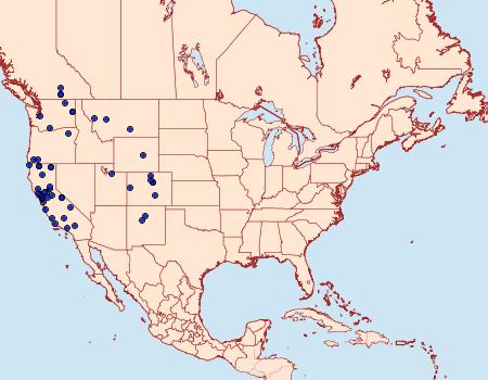 Distribution Data for Dioryctria auranticella