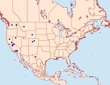 Distribution Data for Dioryctria ponderosae