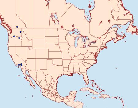 Distribution Data for Dioryctria okanaganella