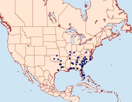 Distribution Data for Dioryctria amatella