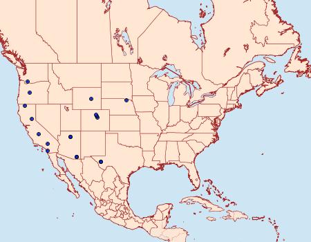 Distribution Data for Dioryctria cambiicola