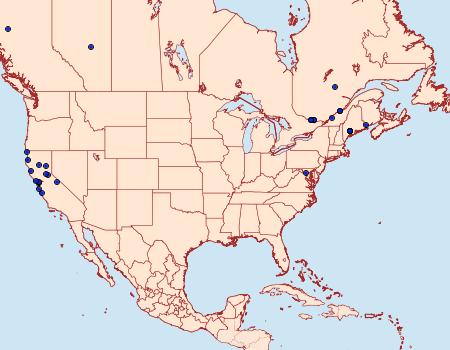 Distribution Data for Caloptilia alnivorella