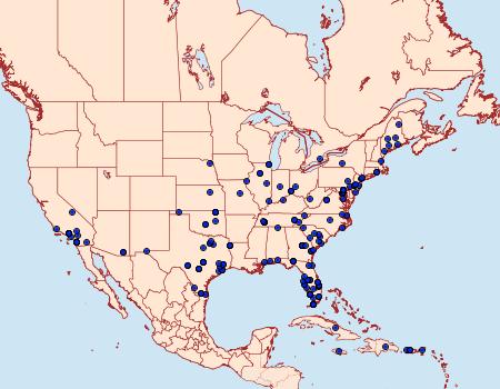 Distribution Data for Elasmopalpus lignosella