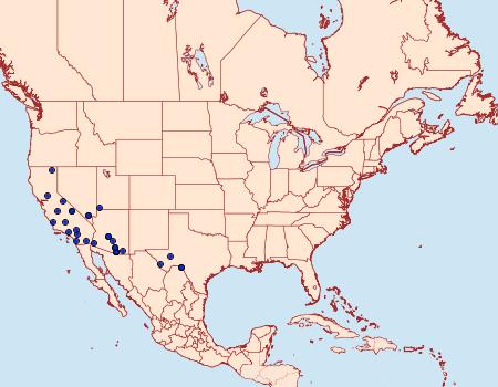 Distribution Data for Passadena flavidorsella