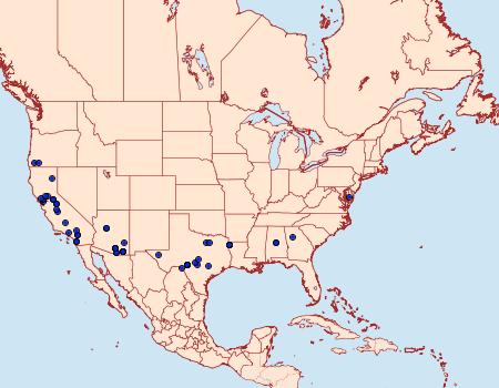 Distribution Data for Tacoma feriella