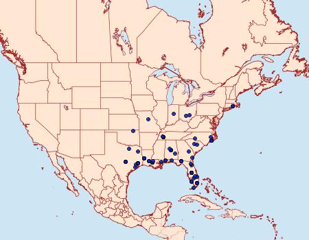 Distribution Data for Macrorrhinia endonephele