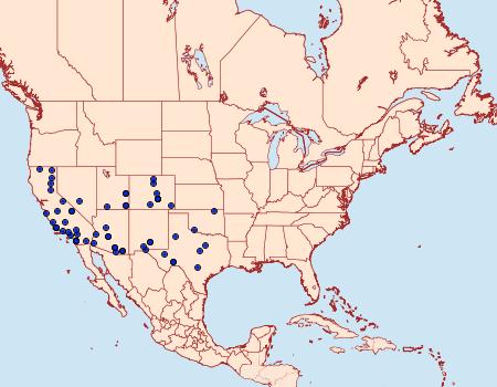 Distribution Data for Ancylosis morrisonella