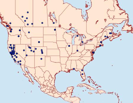 Distribution Data for Ancylosis undulatella