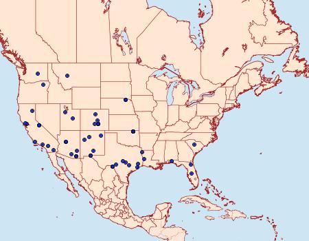 Distribution Data for Honora mellinella