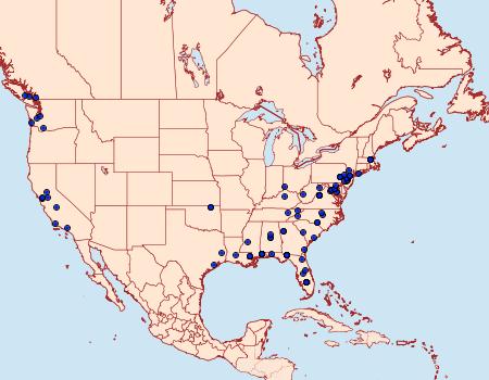 Distribution Data for Caloptilia azaleella