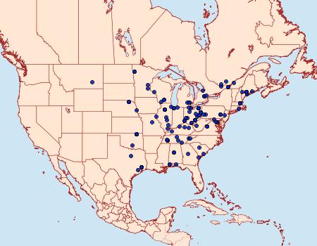 Distribution Data for Canarsia ulmiarrosorella