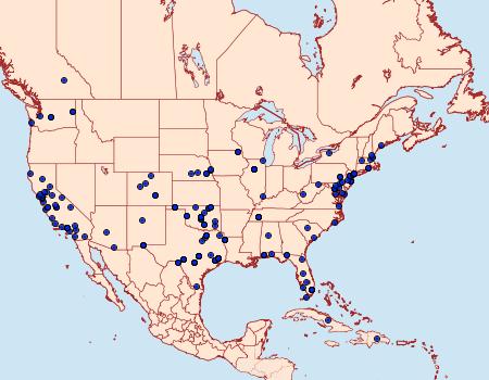 Distribution Data for Homoeosoma electella