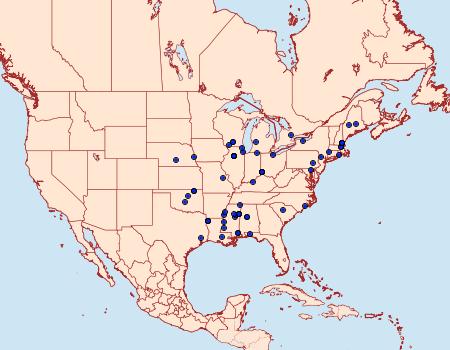 Distribution Data for Caloptilia belfragella