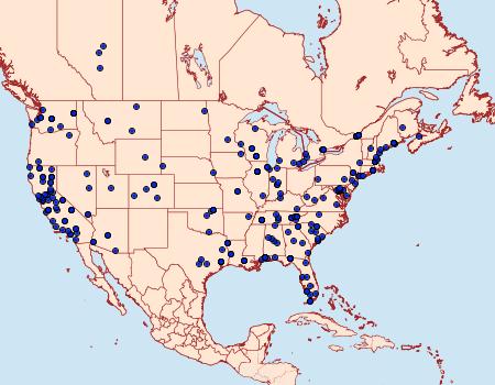 Distribution Data for Phycitodes mucidella