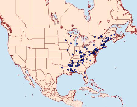 Distribution Data for Caloptilia bimaculatella