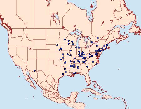 Distribution Data for Caloptilia blandella