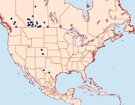 Distribution Data for Melitara dentata