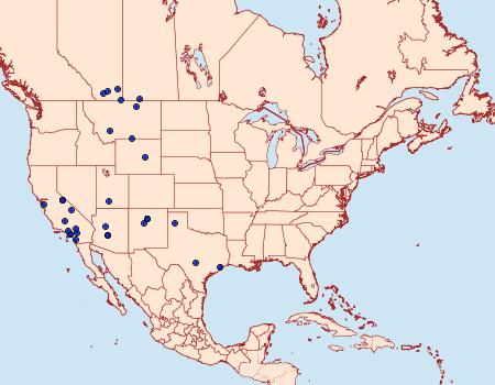 Distribution Data for Melitara subumbrella