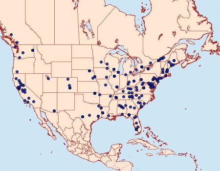 Distribution Data for Euzophera semifuneralis