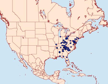 Distribution Data for Euzophera ostricolorella