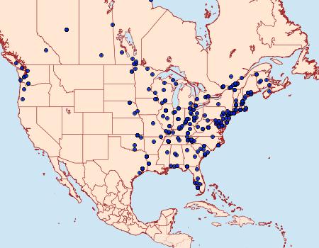 Distribution Data for Eulogia ochrifrontella