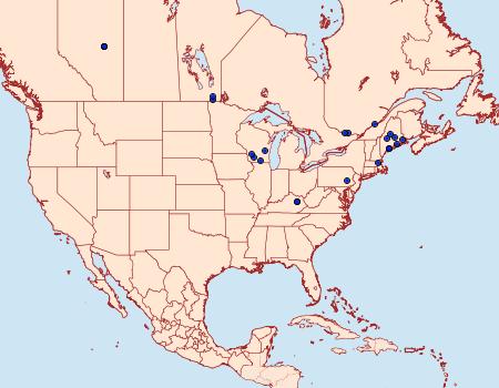 Distribution Data for Caloptilia cornusella