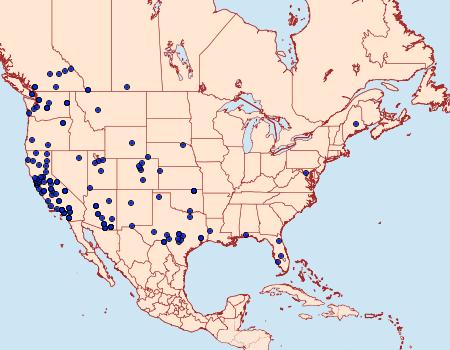 Distribution Data for Ephestiodes gilvescentella